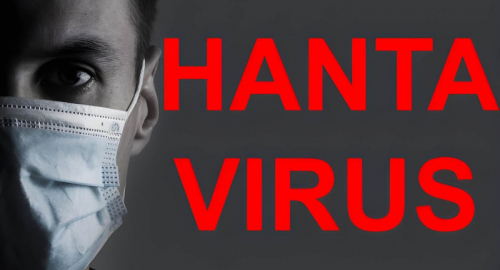 Dalla crociera al matrimonio: l'ombra dell'Hantavirus sulla sicurezza pubblica